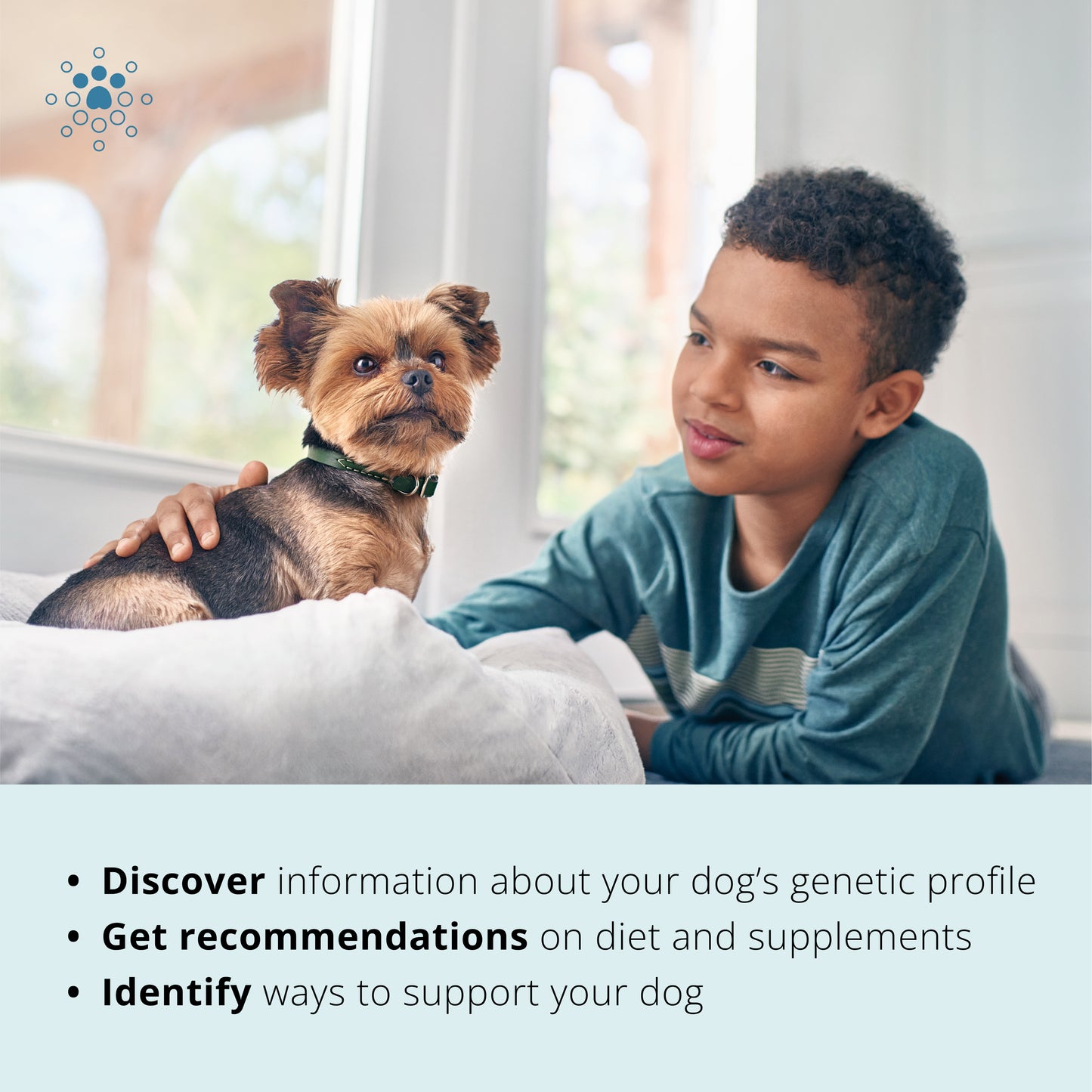 Dog Nutritional DNA Analysis Kit